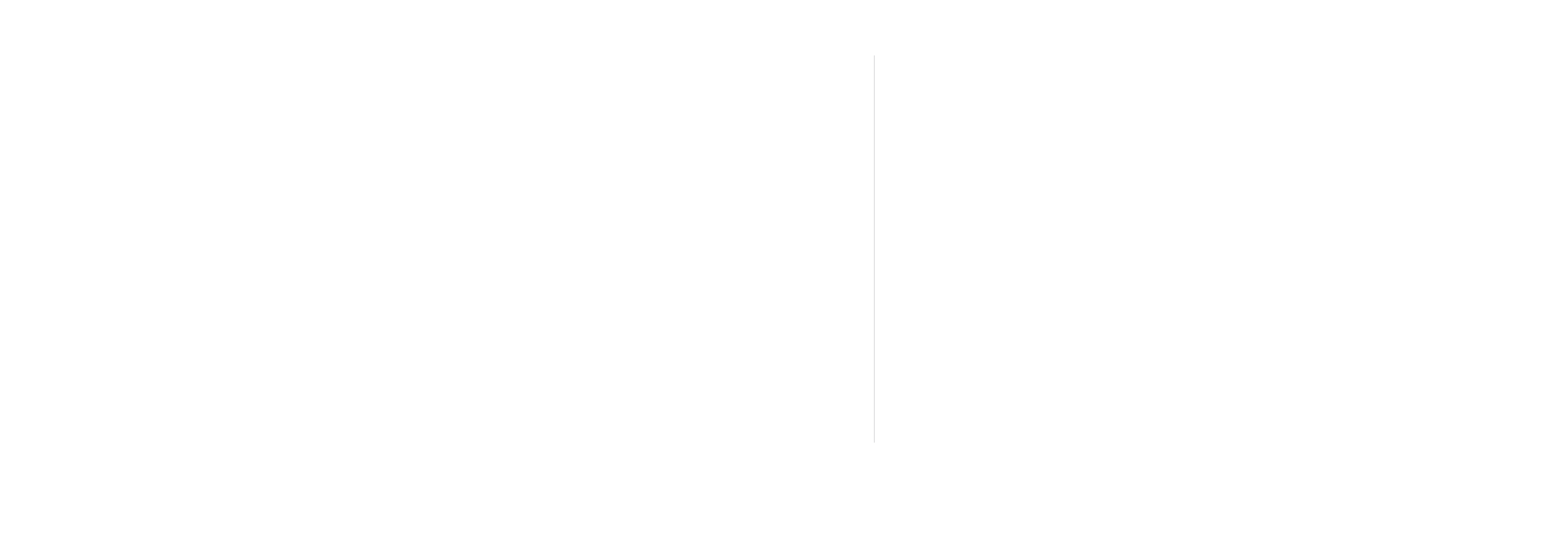 2030 NIDLP Logo